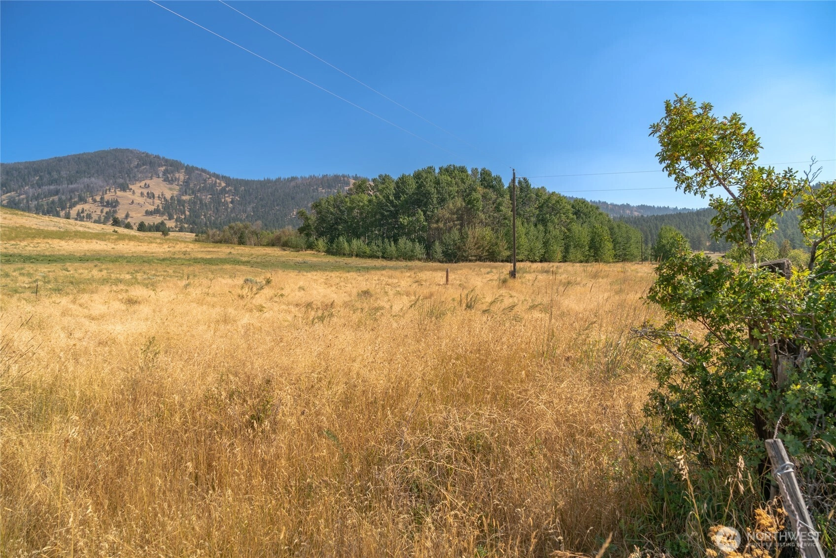 111 Fritz Rd Riverside WA 98849