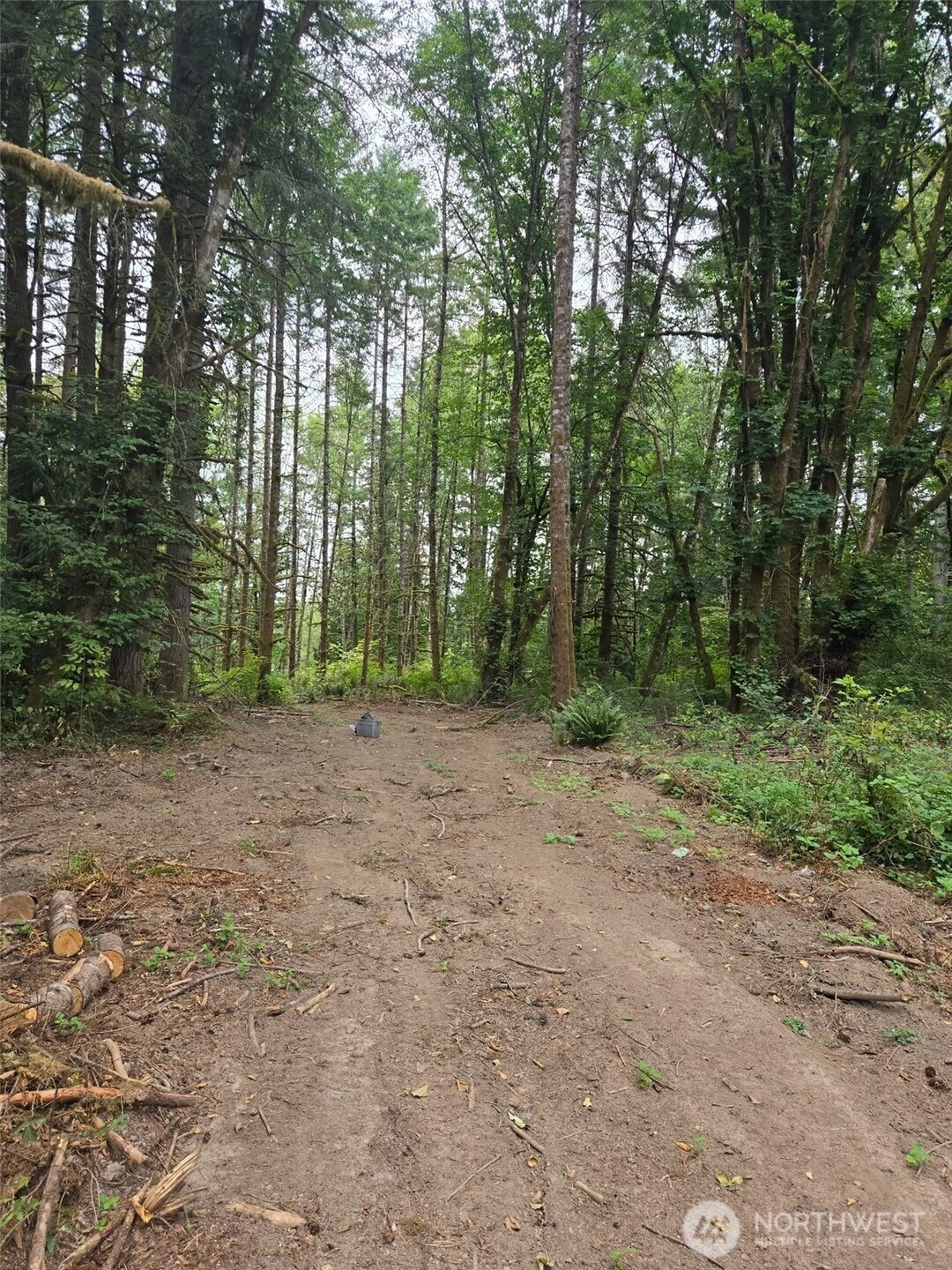 1725 Winlock Vader Rd Vader WA 98596