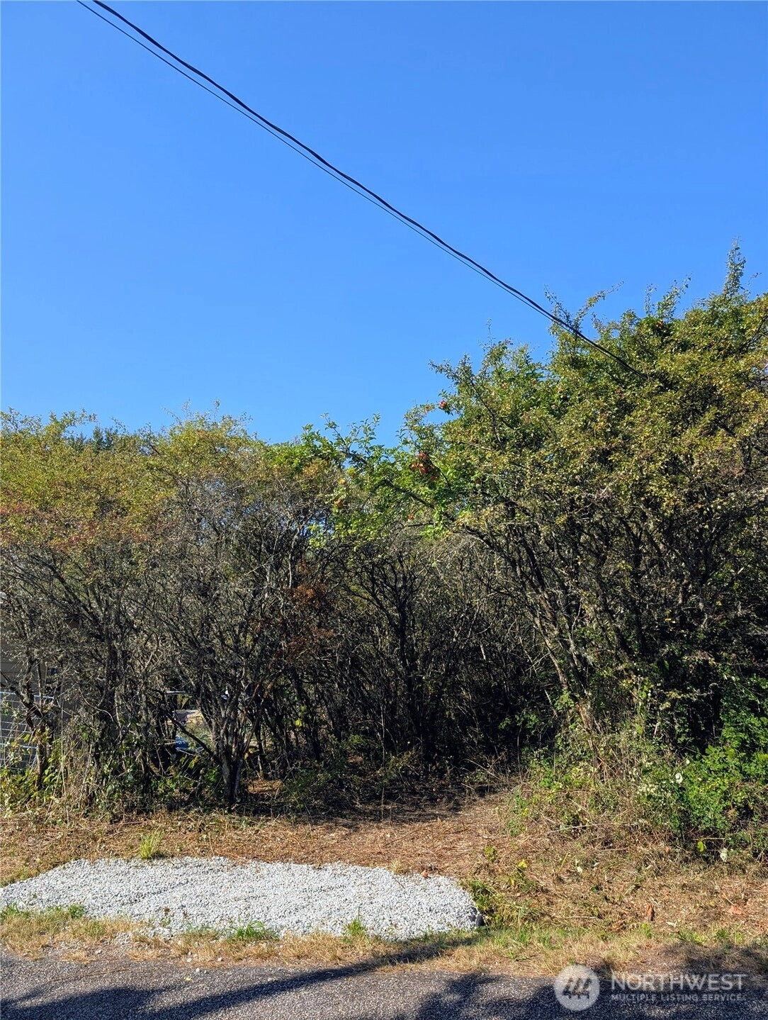 463 Marsh Rd Point Roberts WA 98281