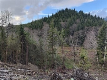 South Bend Palix Rd South Bend WA 98586