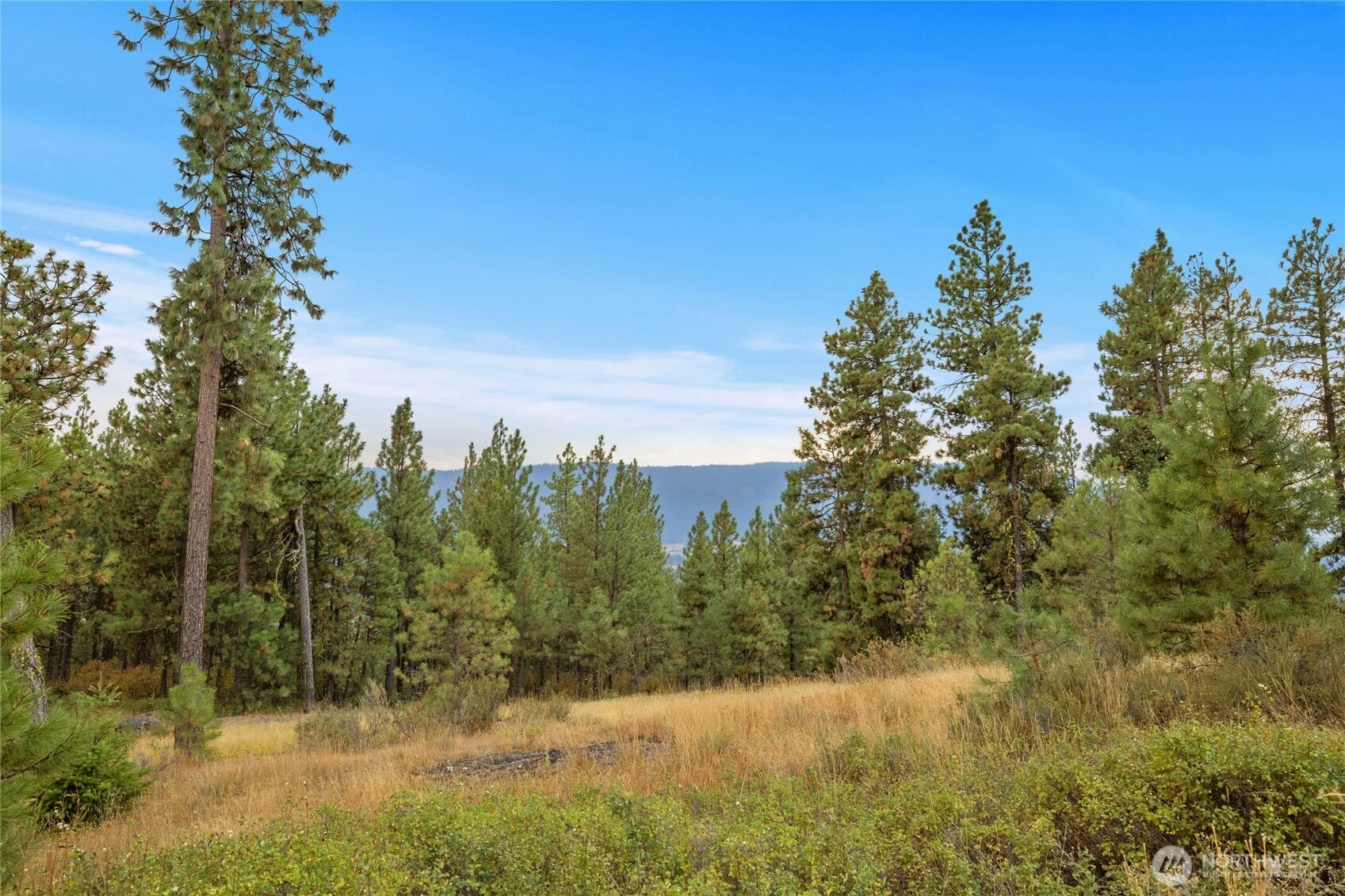 Owl Ridge Dr Unit  Cle Elum WA 98922