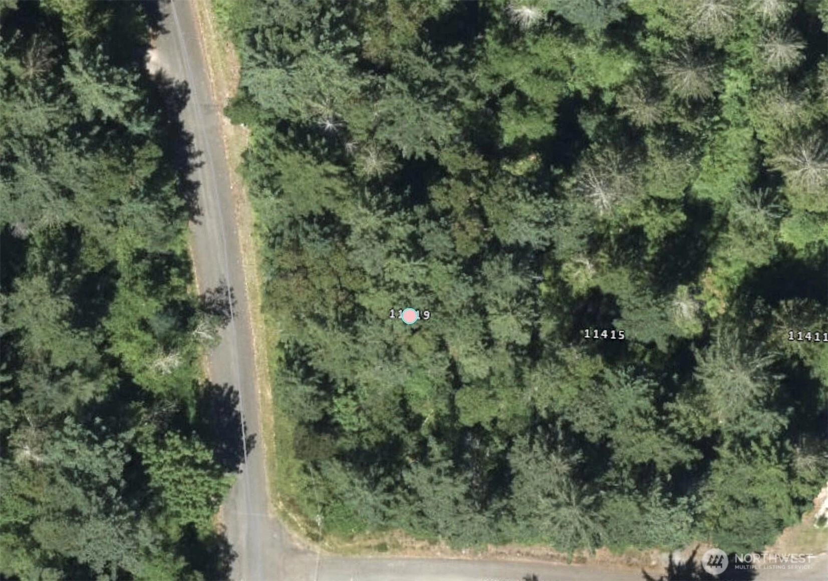 11419 87th St Ct Anderson Island WA 98303