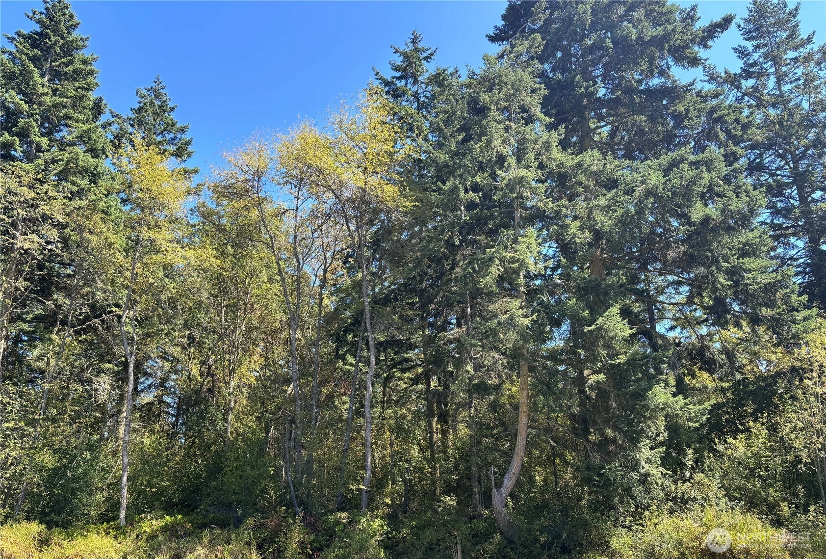 15 Xx7 Rainier St Port Townsend WA 98368