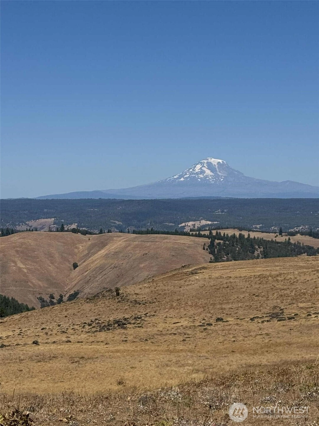 Parcel #03140400000200 Unit  White Salmon WA 98672