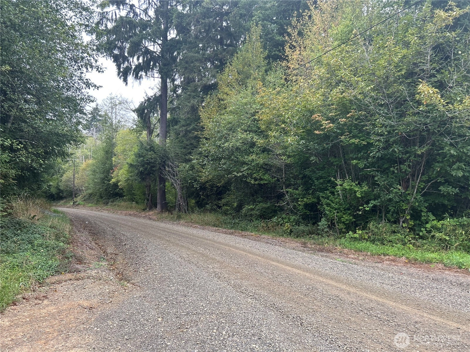 360 Mudgett Mountain Rd Montesano WA 98563