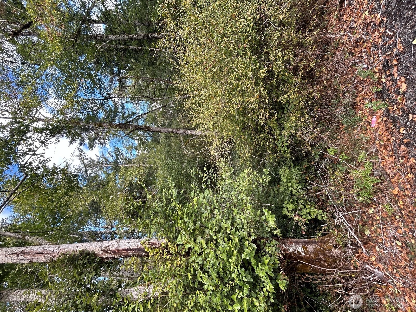 1331 E Grapeview Loop Rd Unit  Grapeview WA 98546