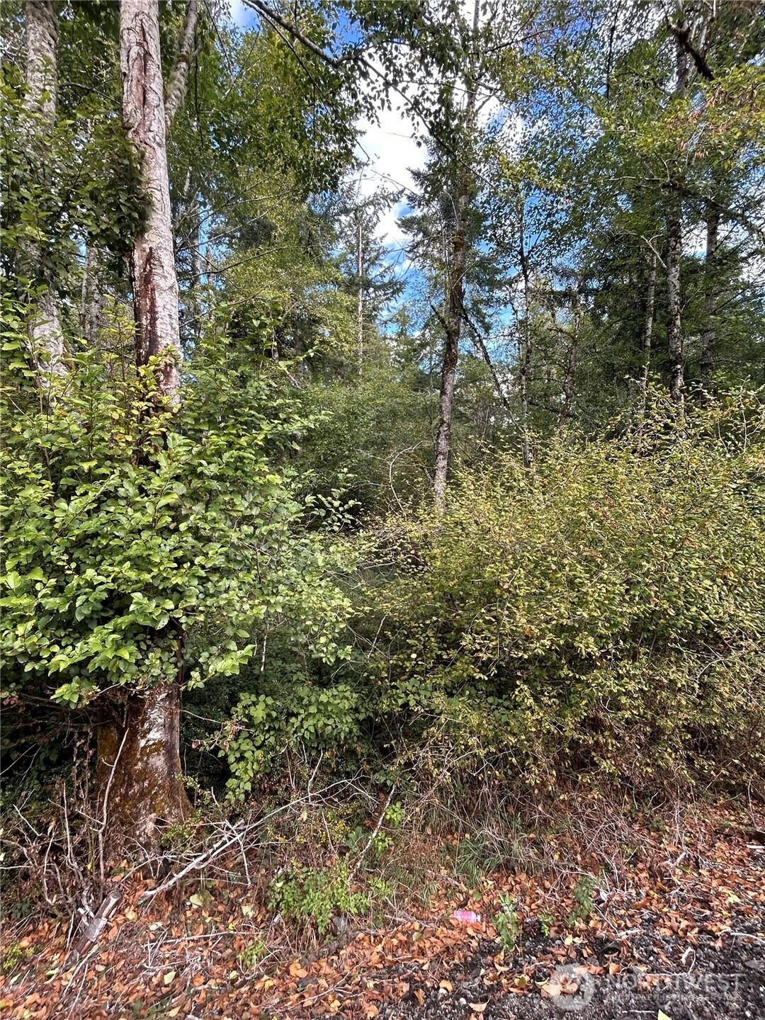 1371 E Grapeview Loop Rd Unit  Grapeview WA 98546