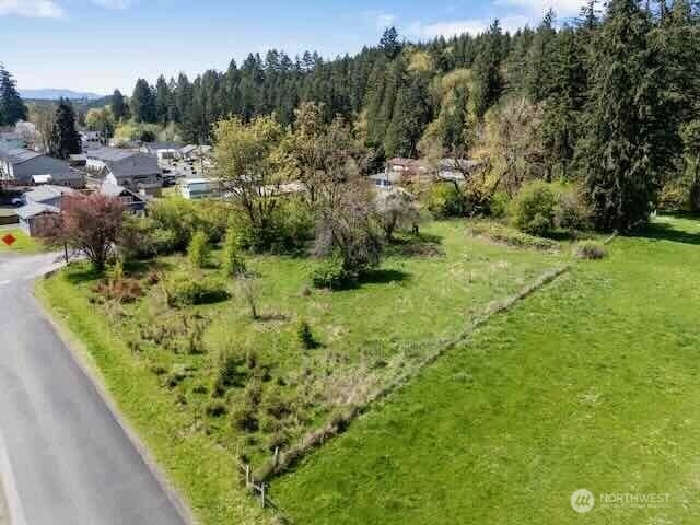 SW Alder Winlock WA 98596