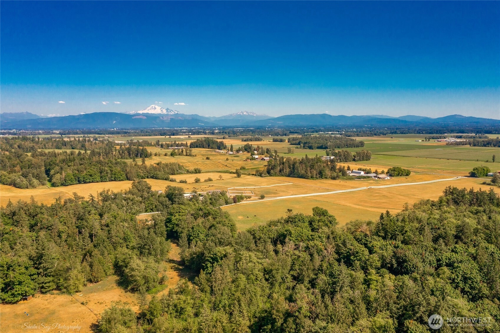 Sunrise Rd Custer WA 98240