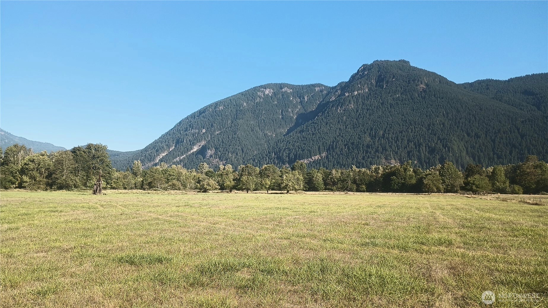 1211 Cline Rd Randle WA 98377