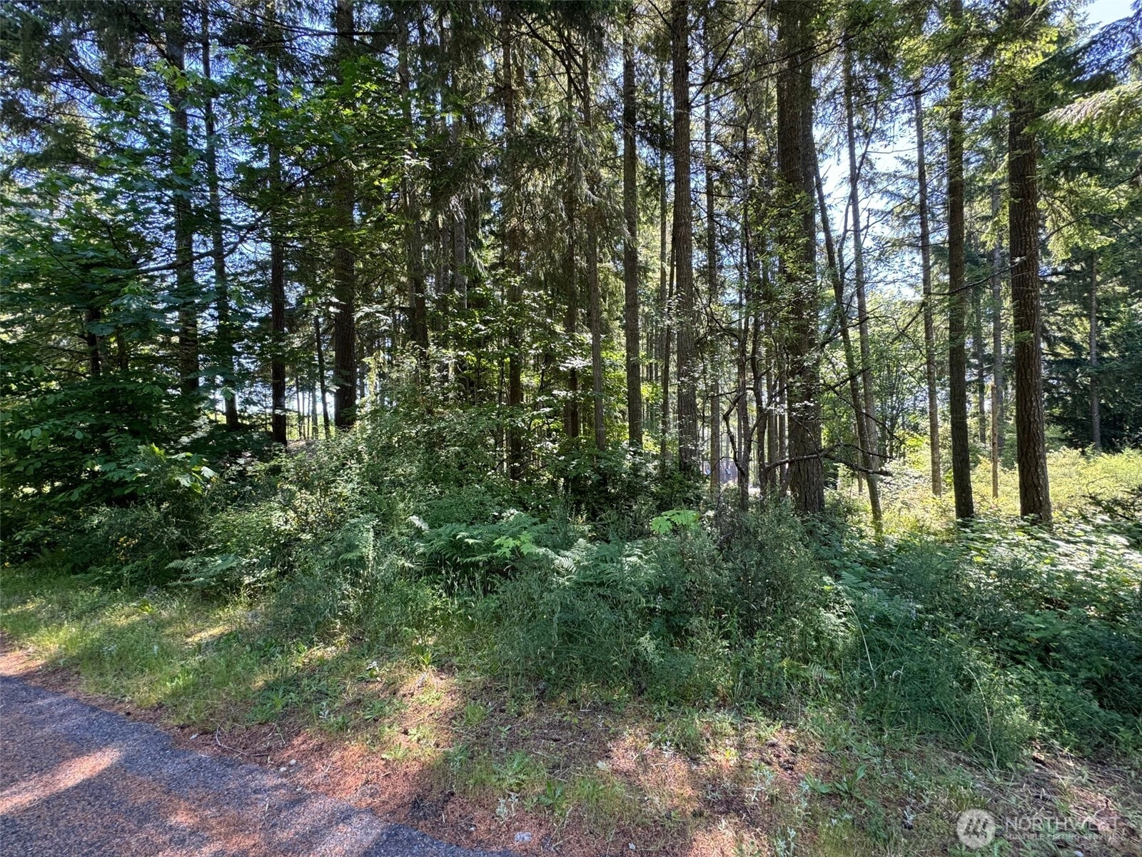 191st Ave SW Lakebay WA 98349