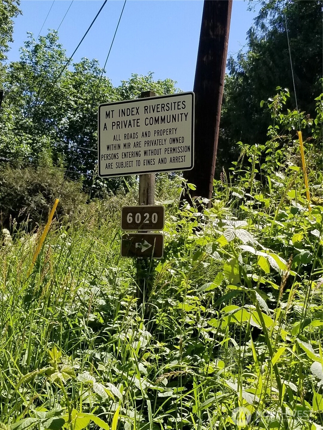 Mt Index Drive Unit  Index WA 98256