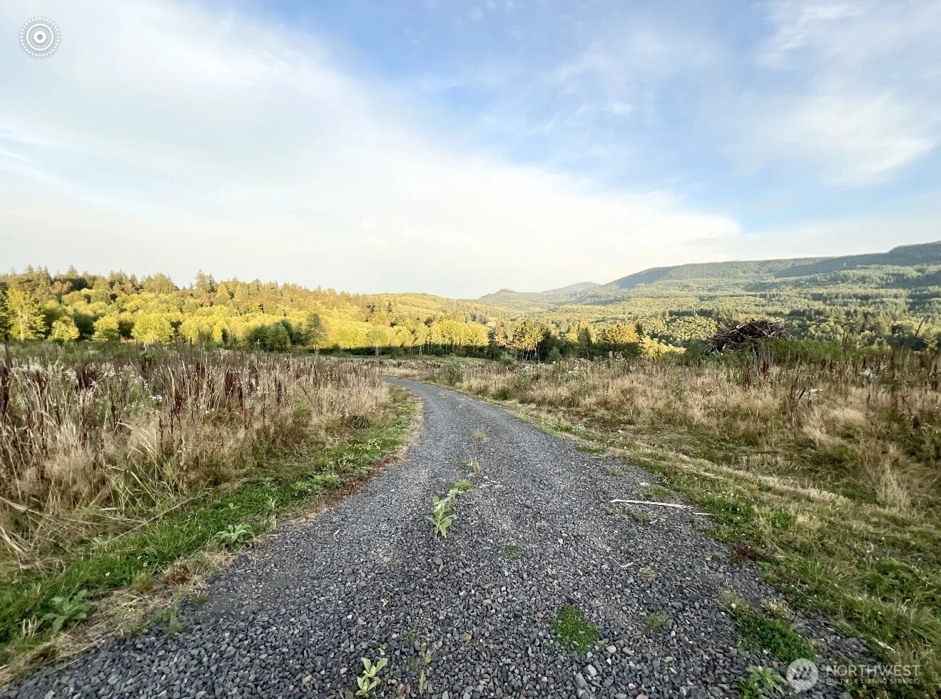 195 Hagen #82 Rd Mossyrock WA 98564