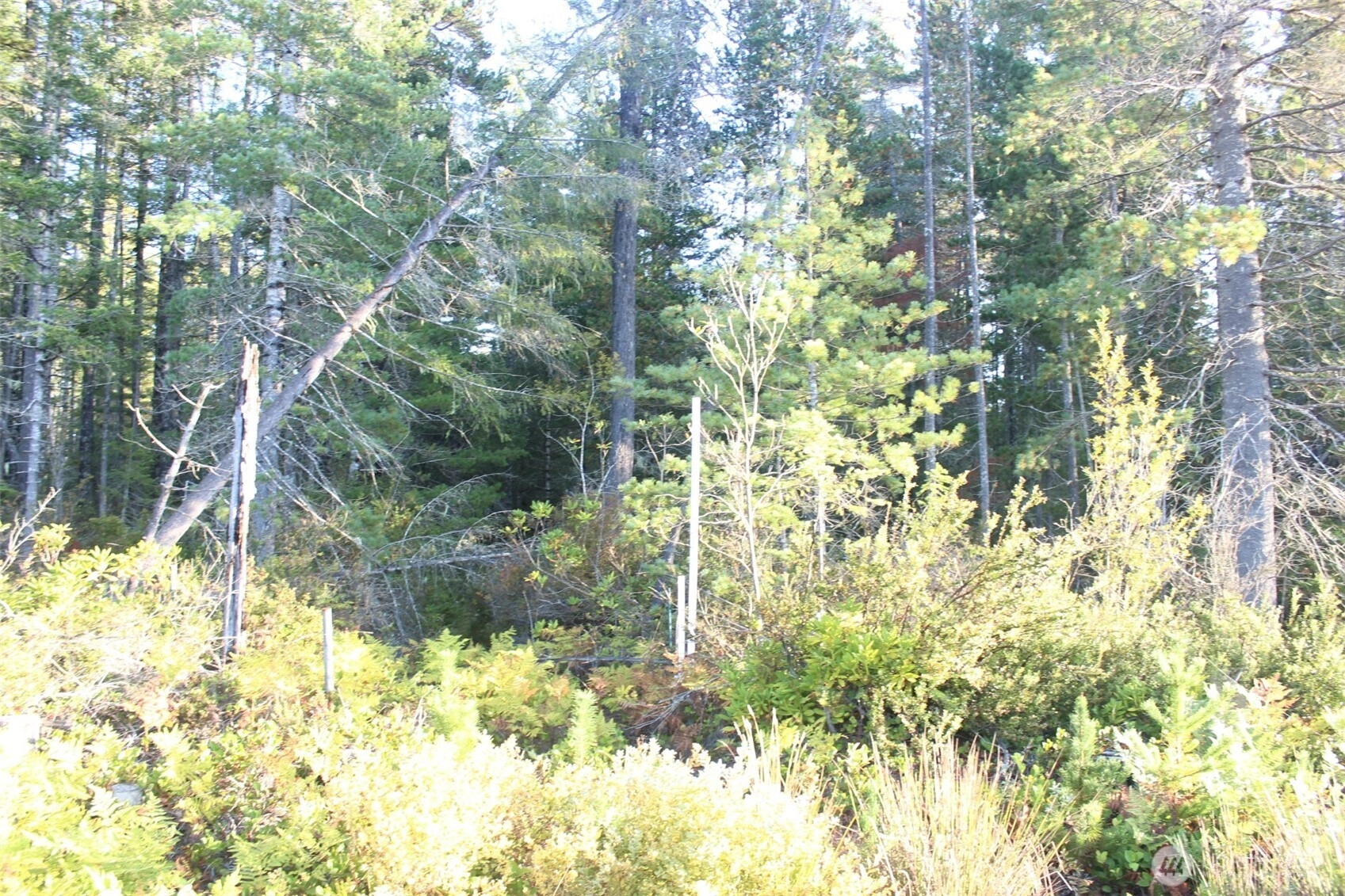 3511 NE Tahuya Blacksmith Rd Tahuya WA 98588