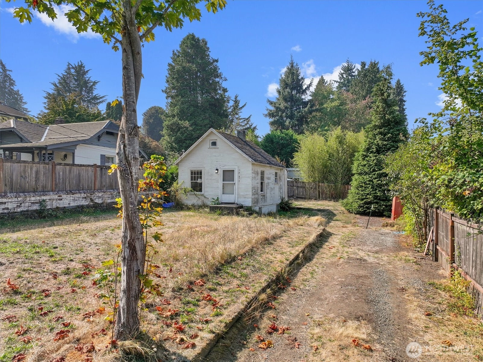 10217 12th Ave NE Seattle WA 98125