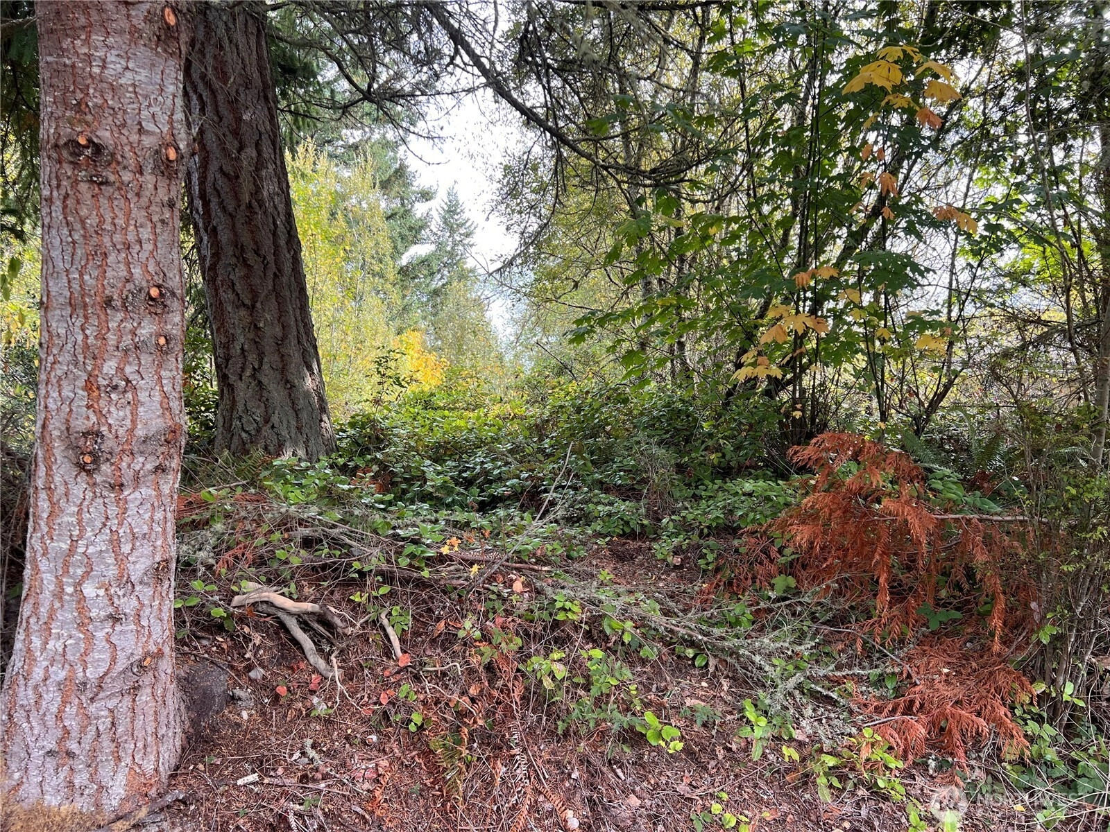 21 Camano Ln Unit  Port Ludlow WA 98365