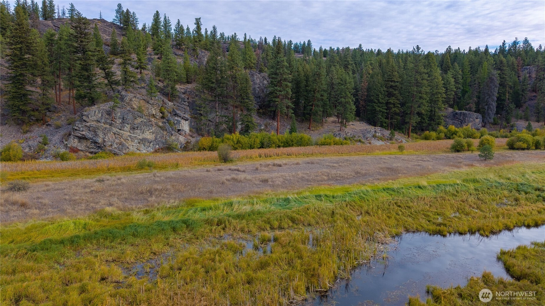 Eaglestone Rd Tonasket WA 98855