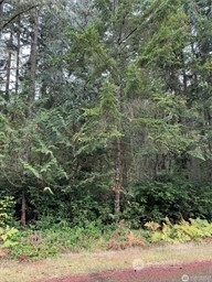 10508 Anchor Pl Unit  Anderson Island WA 98303