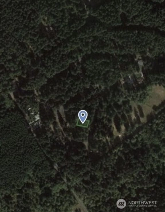 10608 Edgewood Dr Anderson Island WA 98303