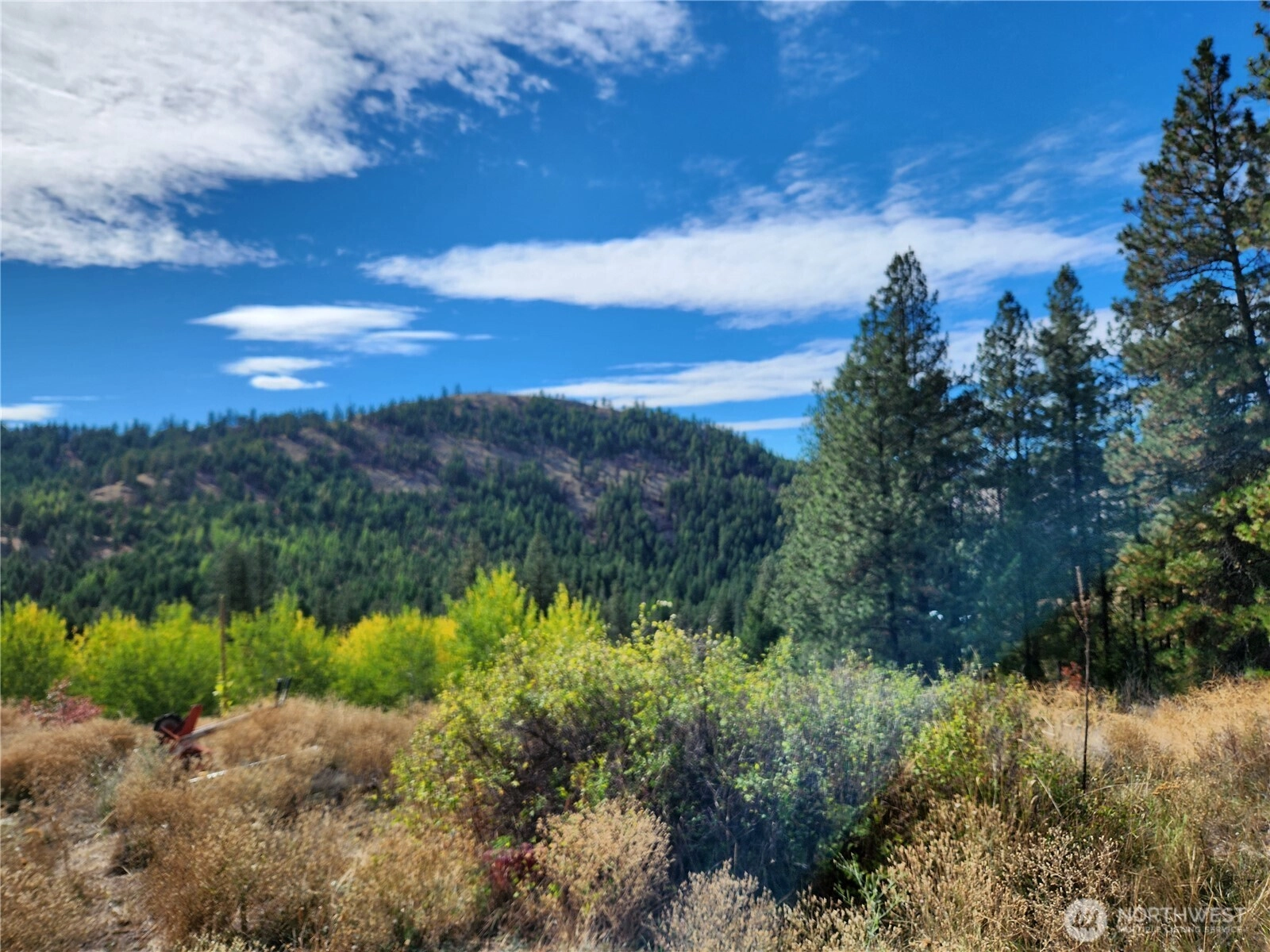 18 Robin Rd Unit  Republic WA 99166