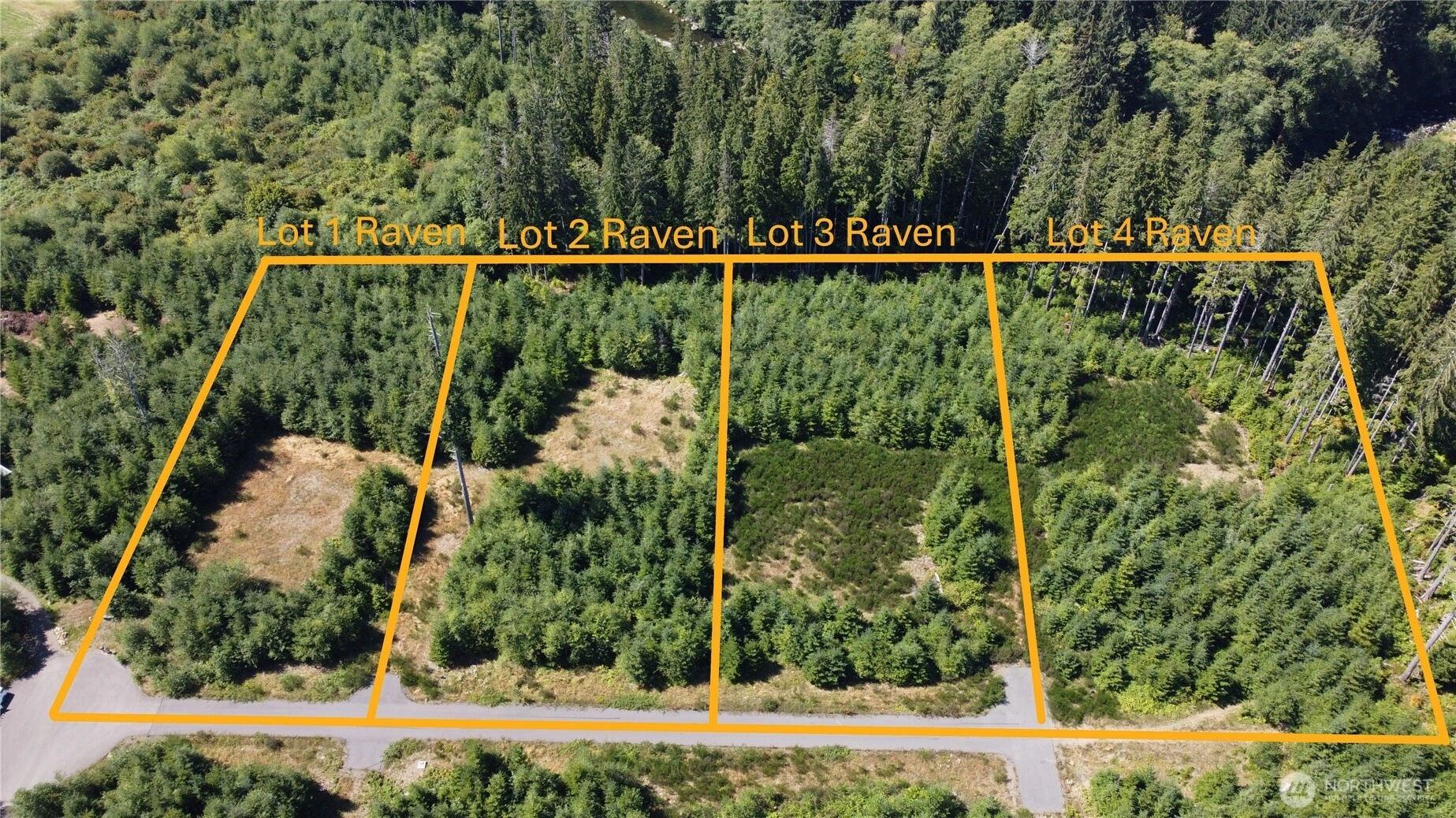 9999 King Johns-lot 4 Ravens Sp Way Unit  Forks WA 98331