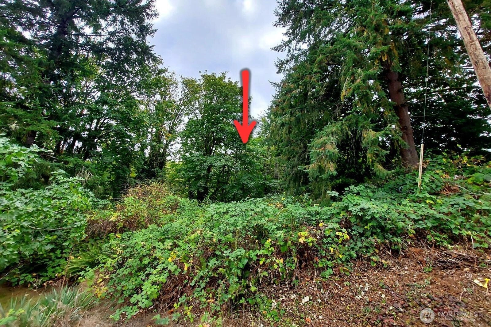 Lot C Melcher St Unit  Port Orchard WA 98366