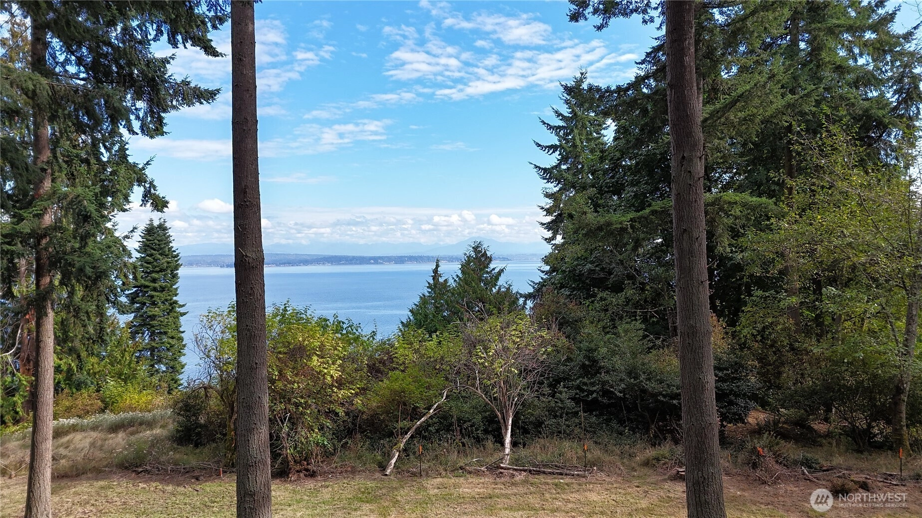 4979 Blue Lady Ln Unit  Langley WA 98260