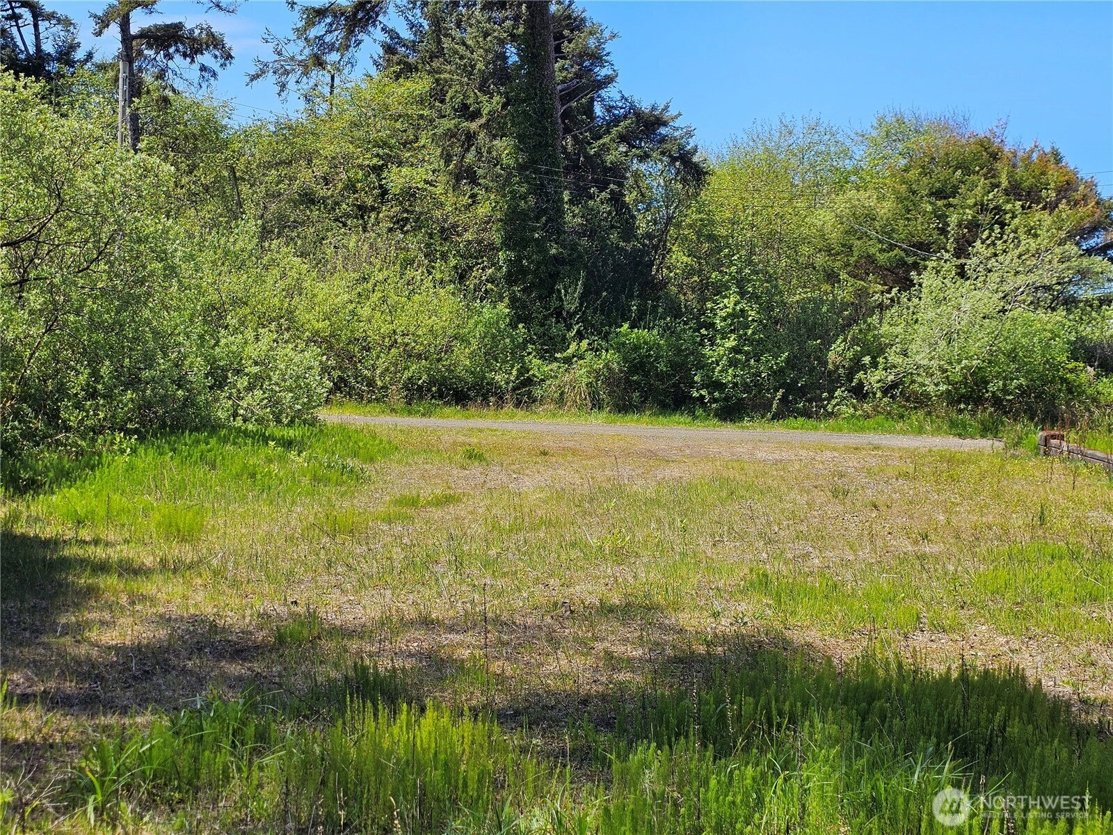 15 Cedar Ln Pacific Beach WA 98571