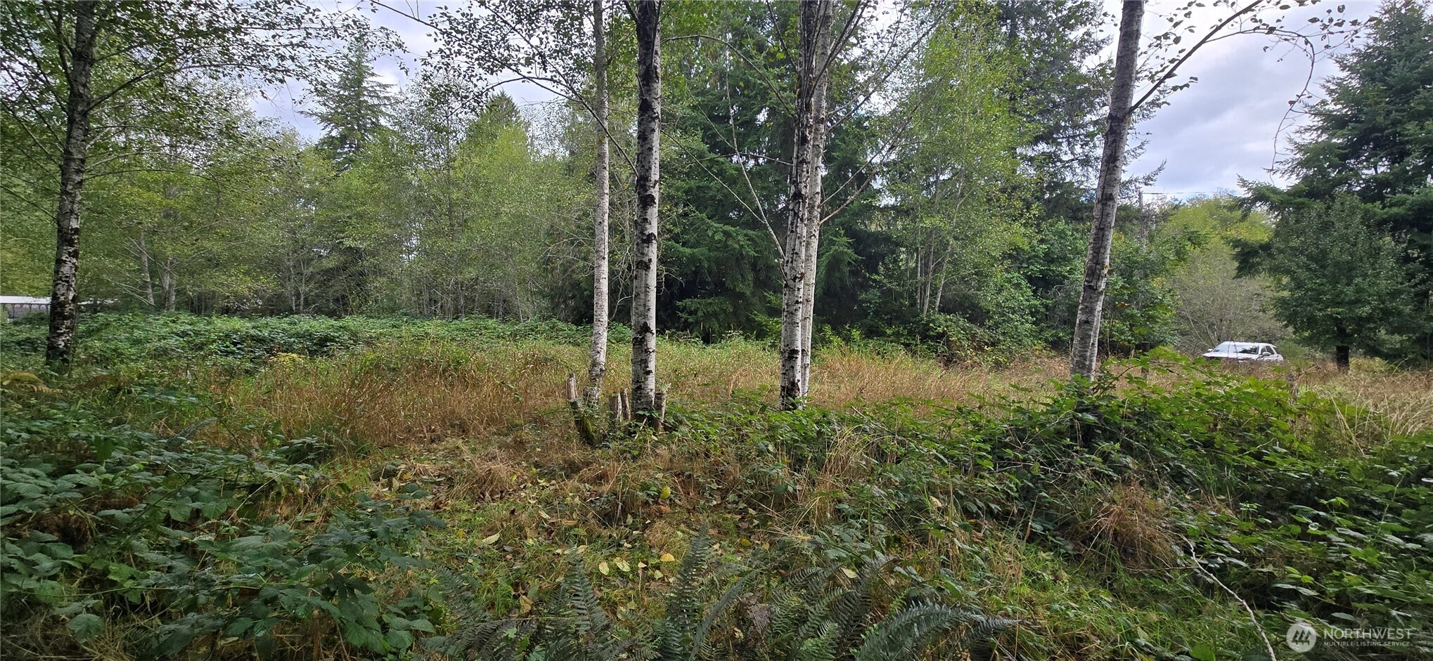 1351 Satsop Rd W Montesano WA 98563