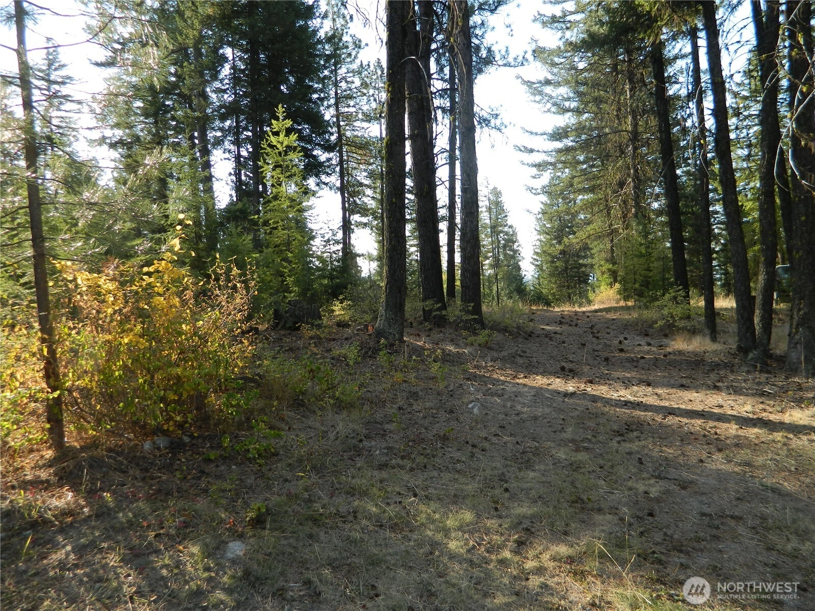 1111 Tbd Rone Rd Unit  Tonasket WA 98855