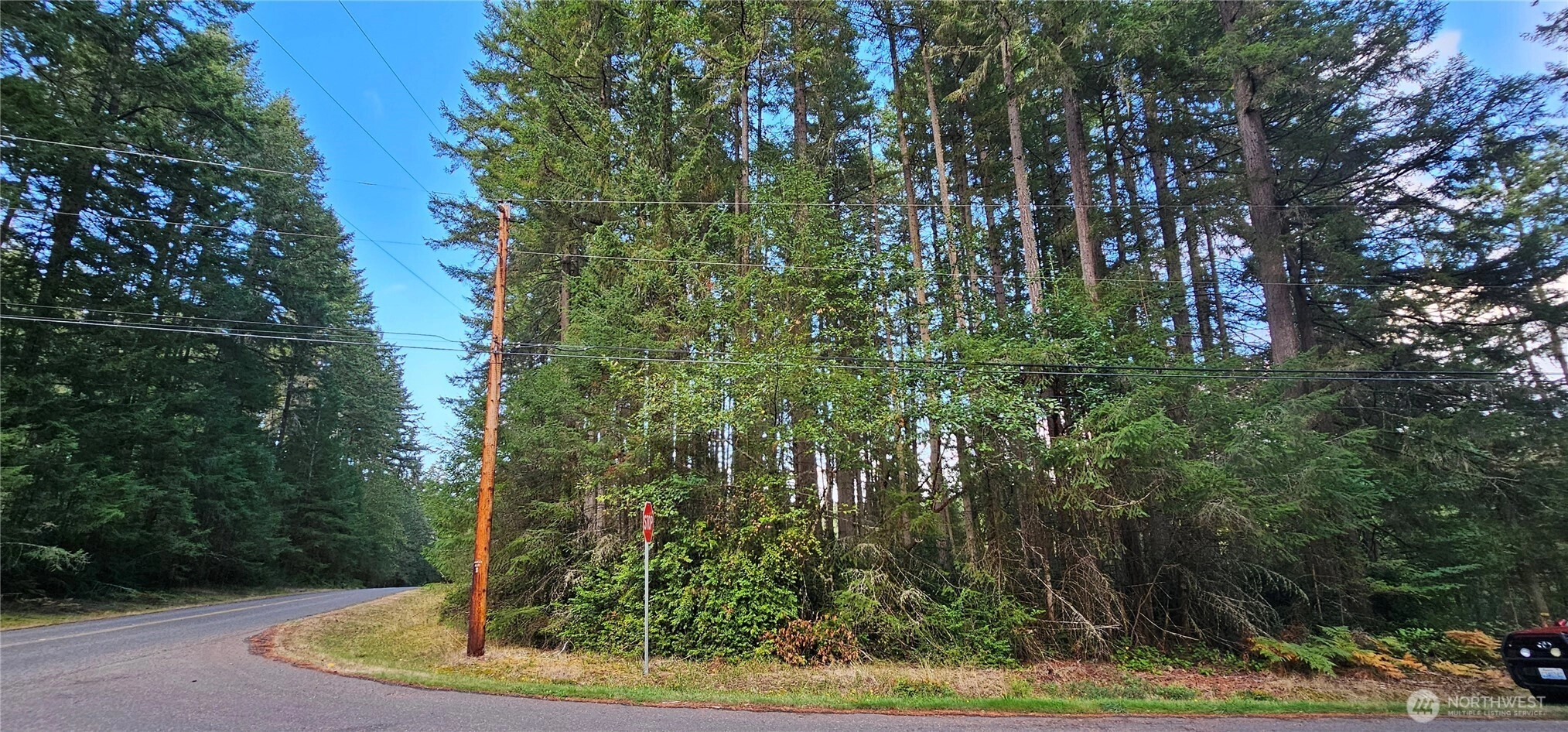 10115 Edgewood Dr Anderson Island WA 98303