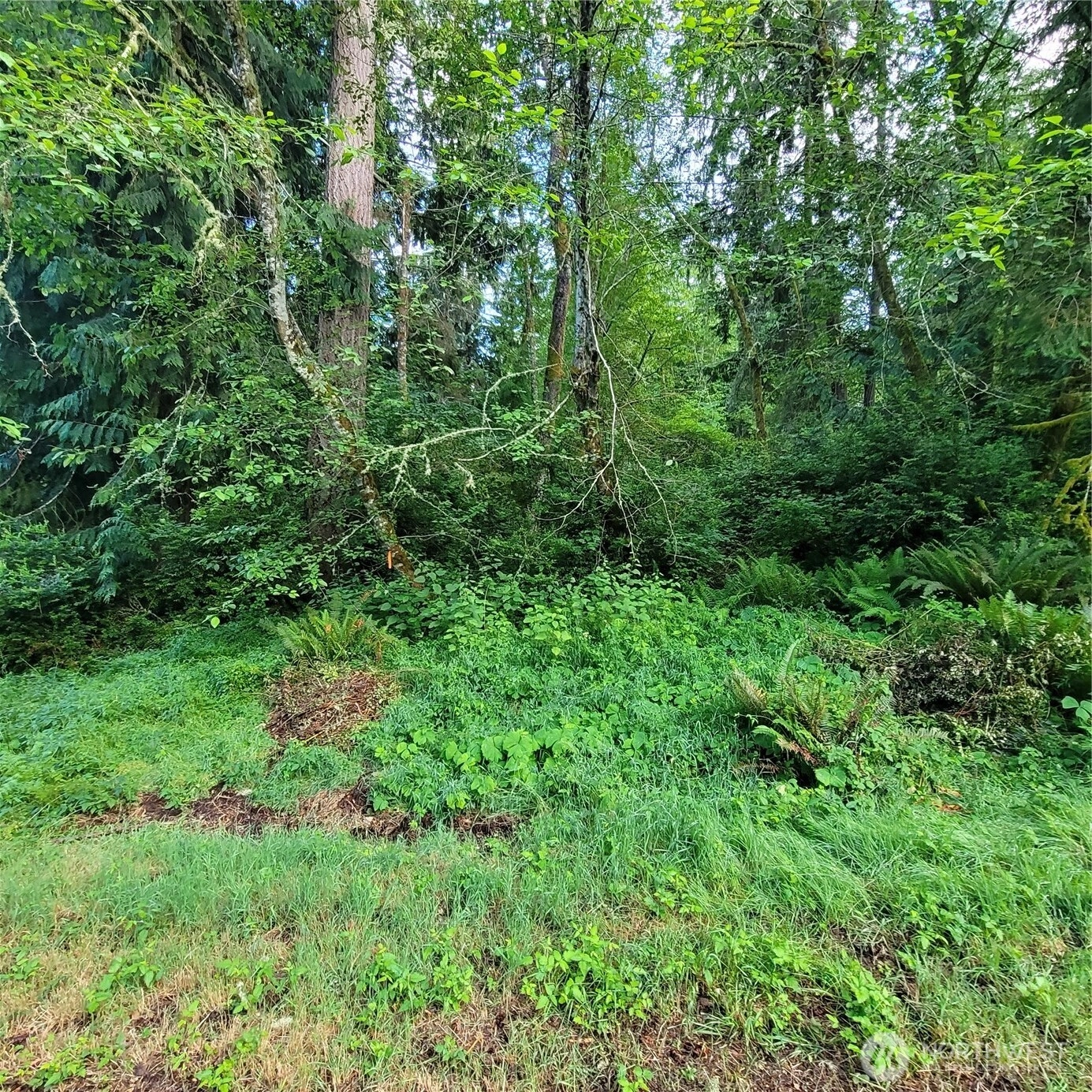 12726 96th St Ct Anderson Island WA 98303
