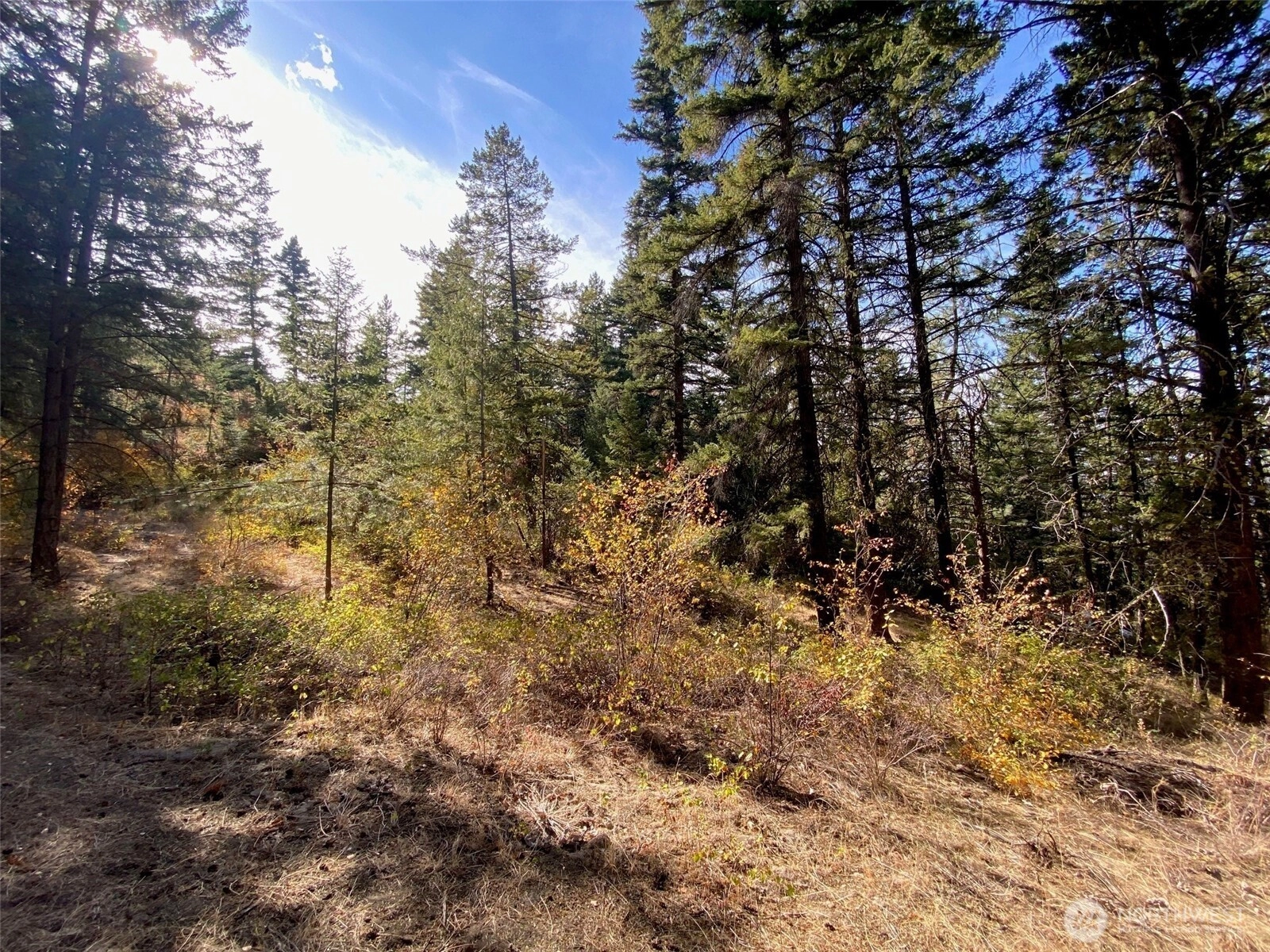 8888 Deer Creek Dr Waterville WA 98858