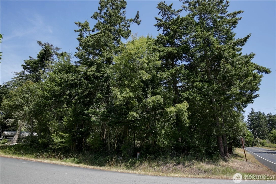 Coronado Ave Unit  Coupeville WA 98239