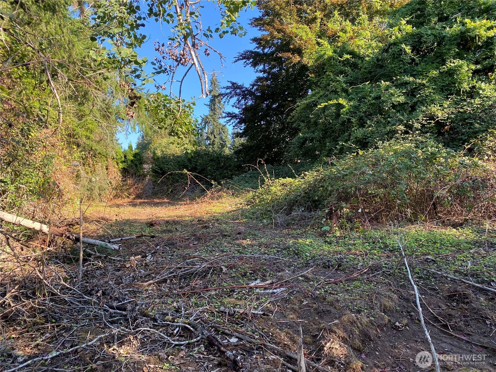 20343 75th Ave NE Kenmore WA 98028