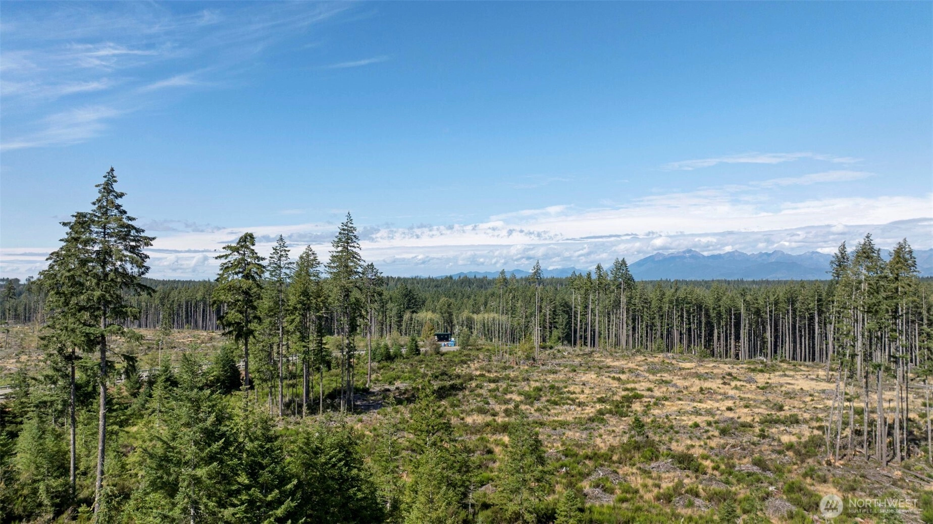 111 NE Ridgetop Ct Belfair WA 98528