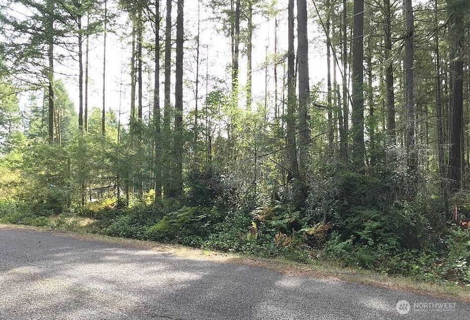 11507 Lake Josephine Ave Anderson Island WA 98303