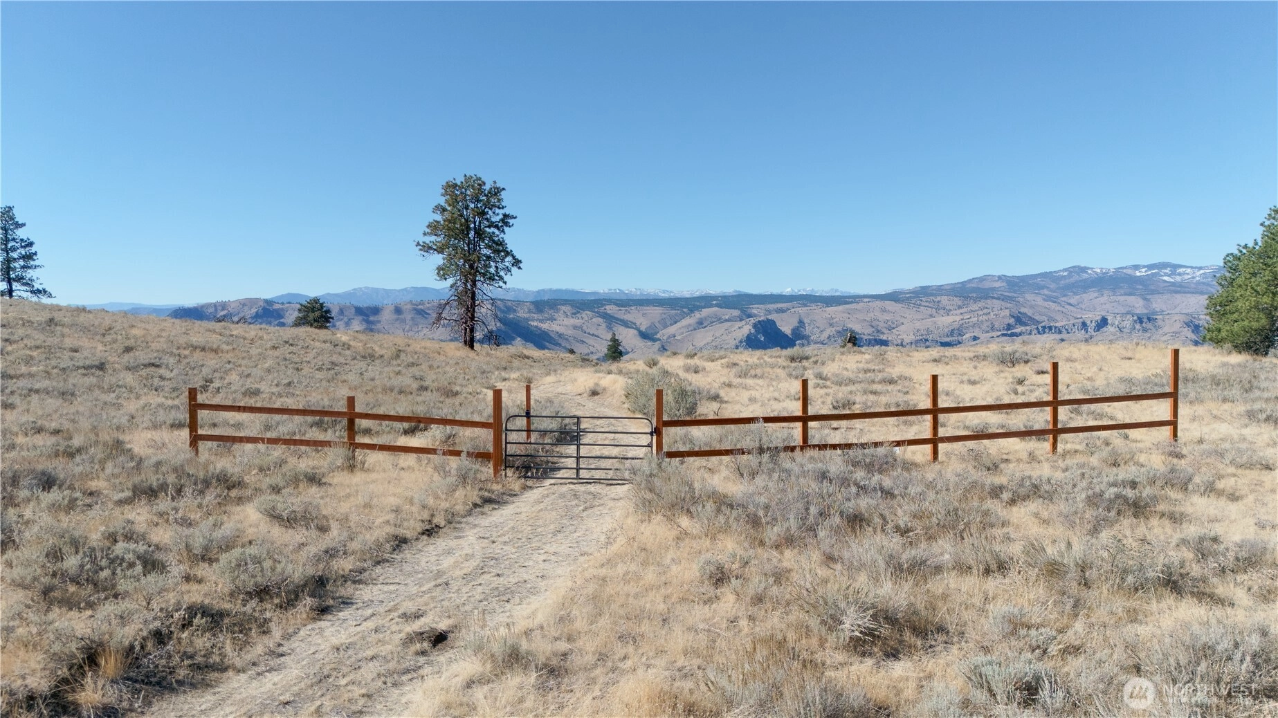 54 Wolf Holler Rd Waterville WA 98858