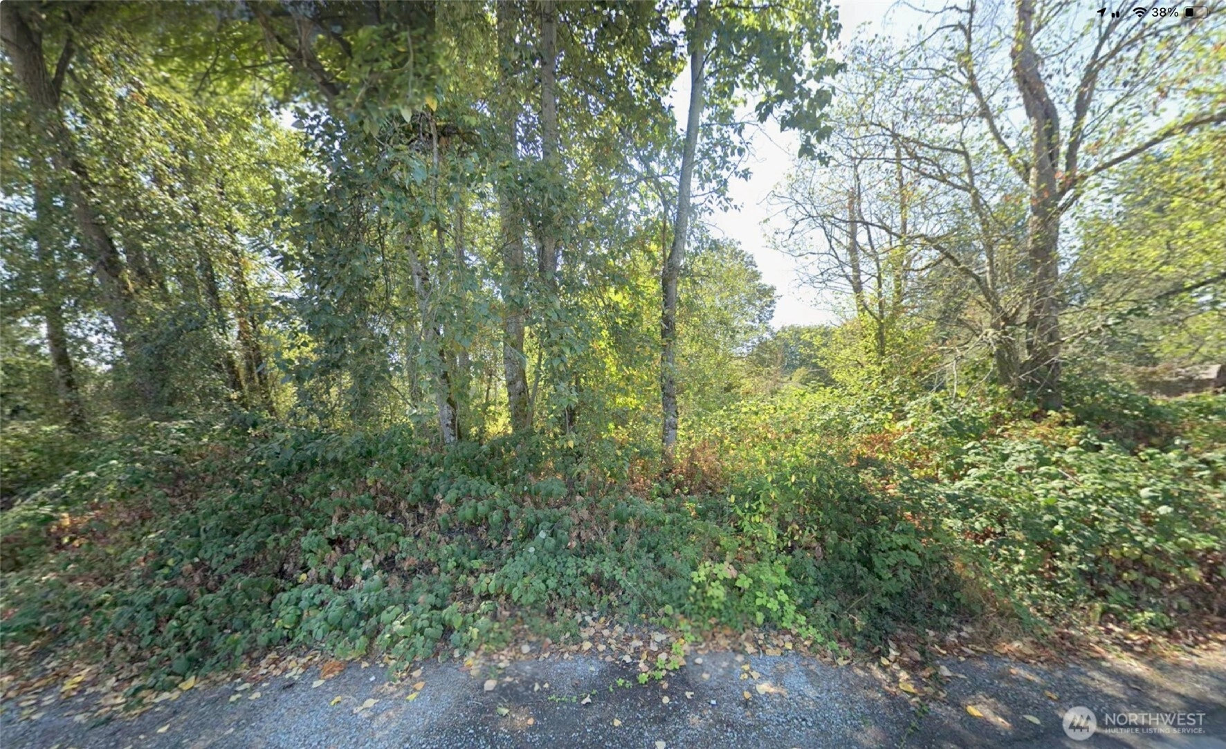 36021 51st Ave S Unit  Auburn WA 98001