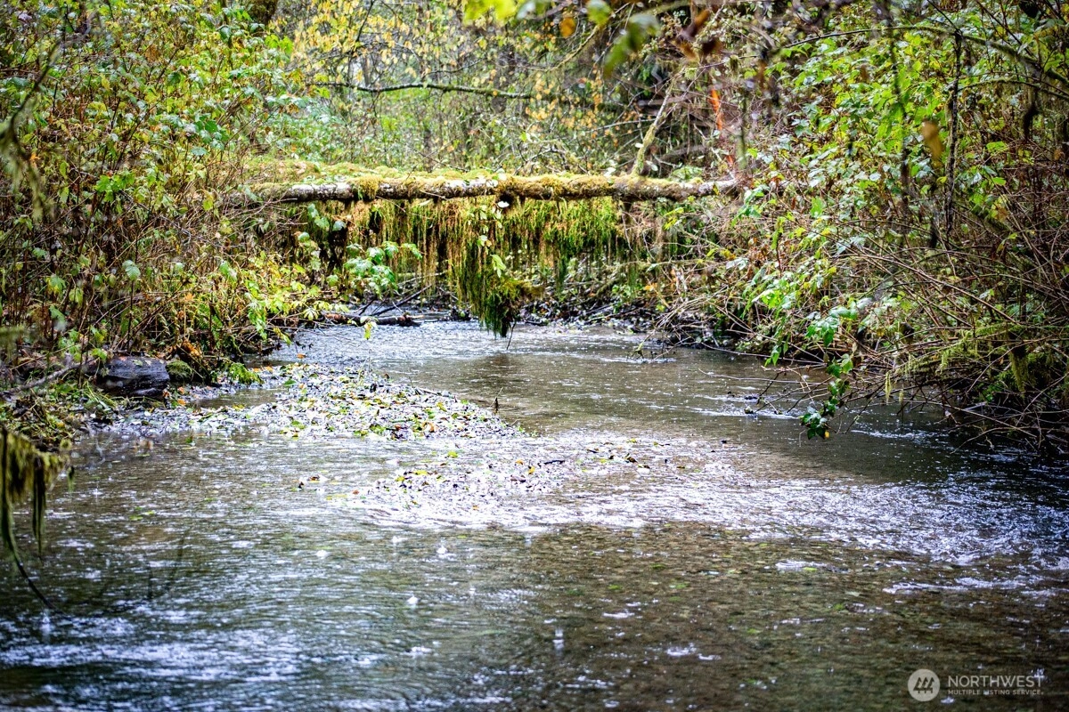 292 Sportsman Club Rd Forks WA 98331