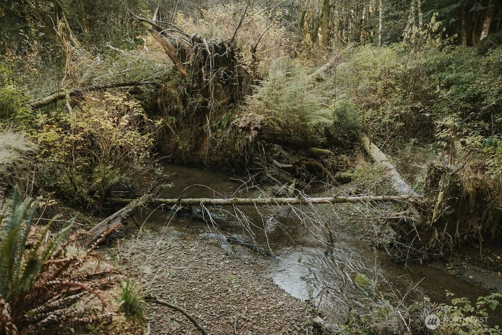 170 Sportsman Club Rd Forks WA 98331