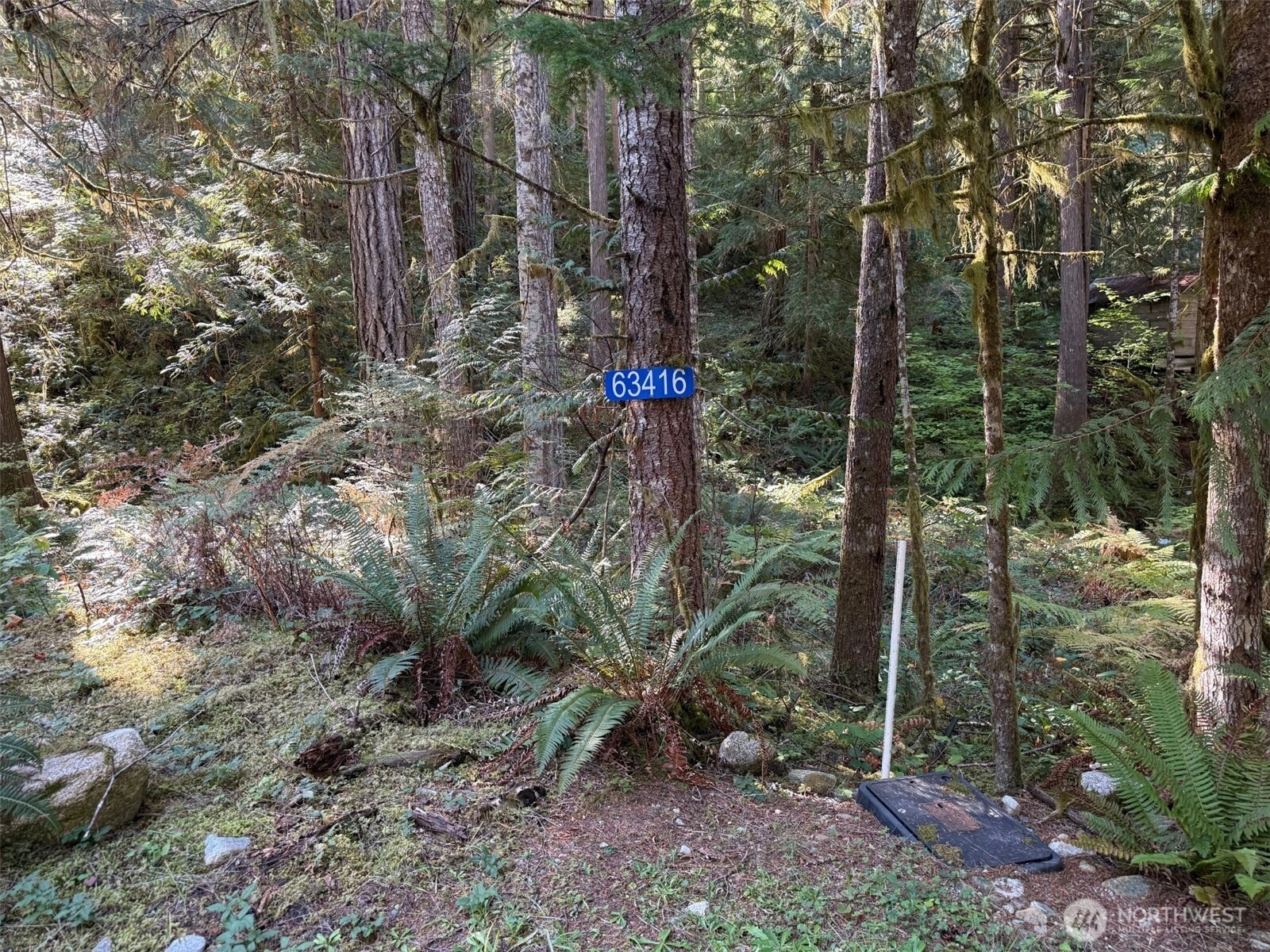 63416 E Ross Pl Unit  Marblemount WA 98267