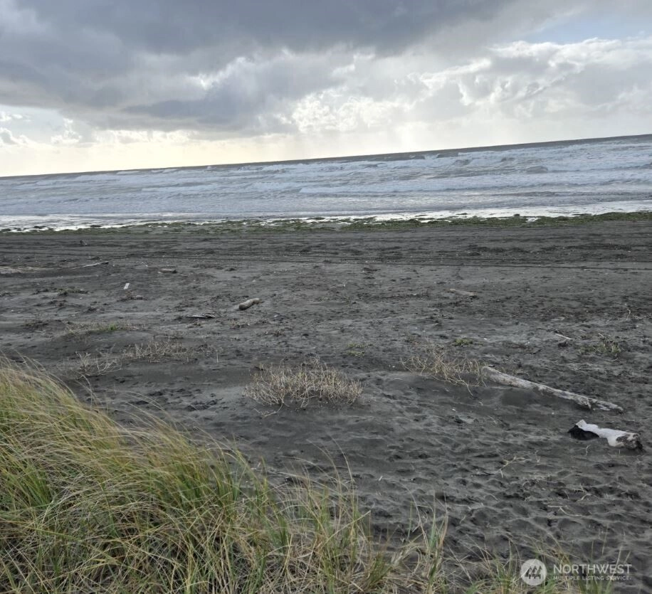 437 Dune Crest Westport WA 98595