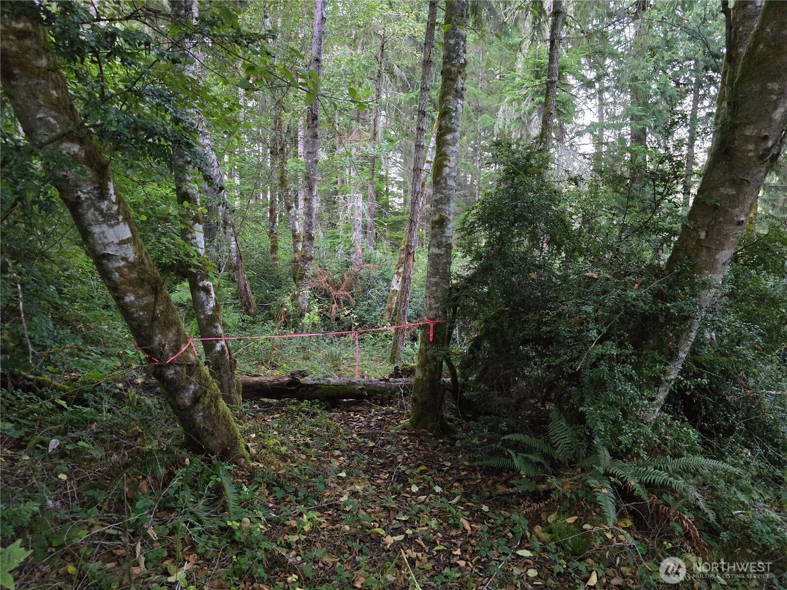 12727 96th Ct Anderson Island WA 98303