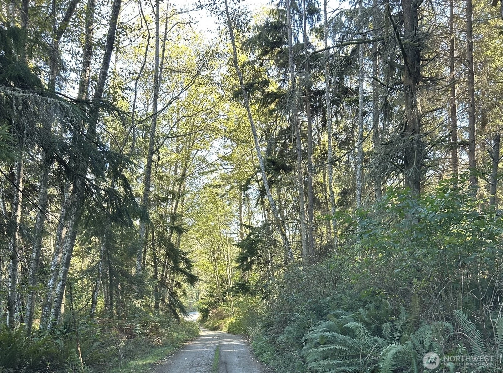 Forest View Ln Greenbank WA 98253