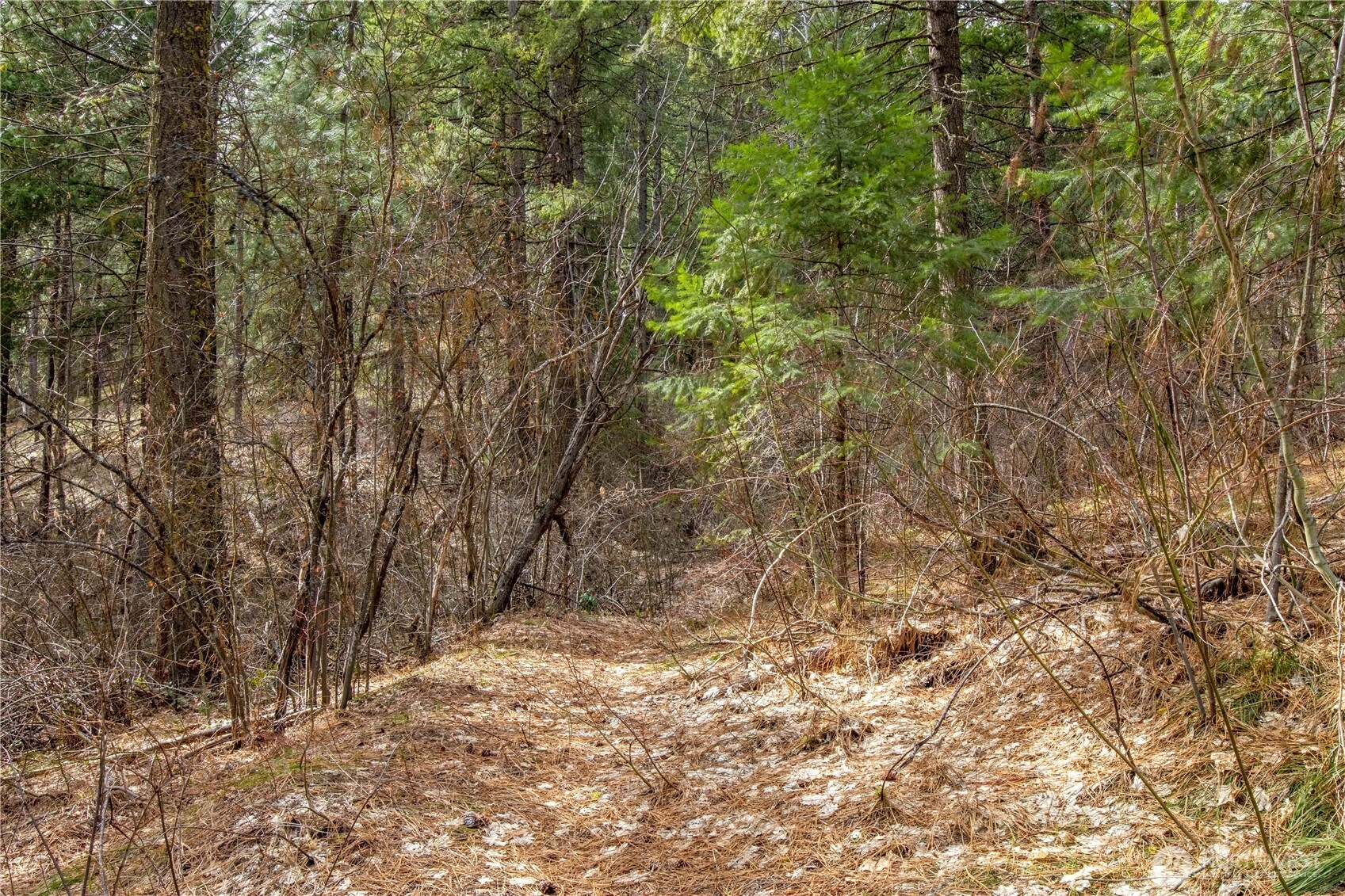 1 Chumstick Hwy Leavenworth WA 98826