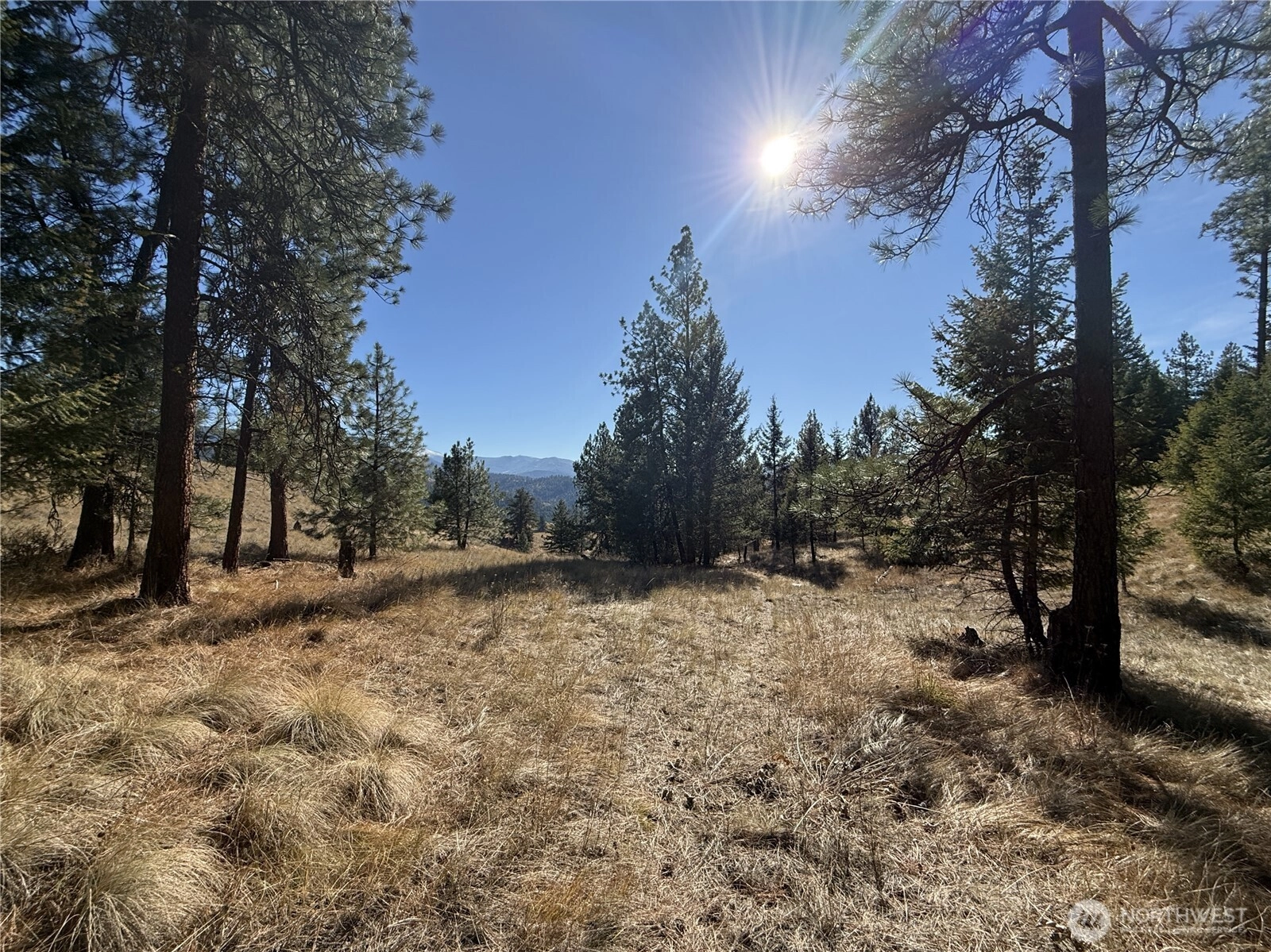 9999 Shade Tree Ln Unit  Republic WA 99166