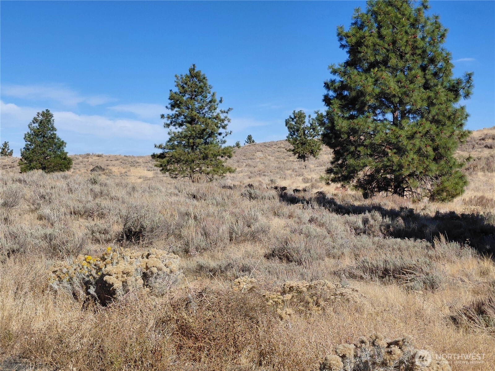 0 nna Columbia River Bluffs Rd Unit  Orondo WA 98843