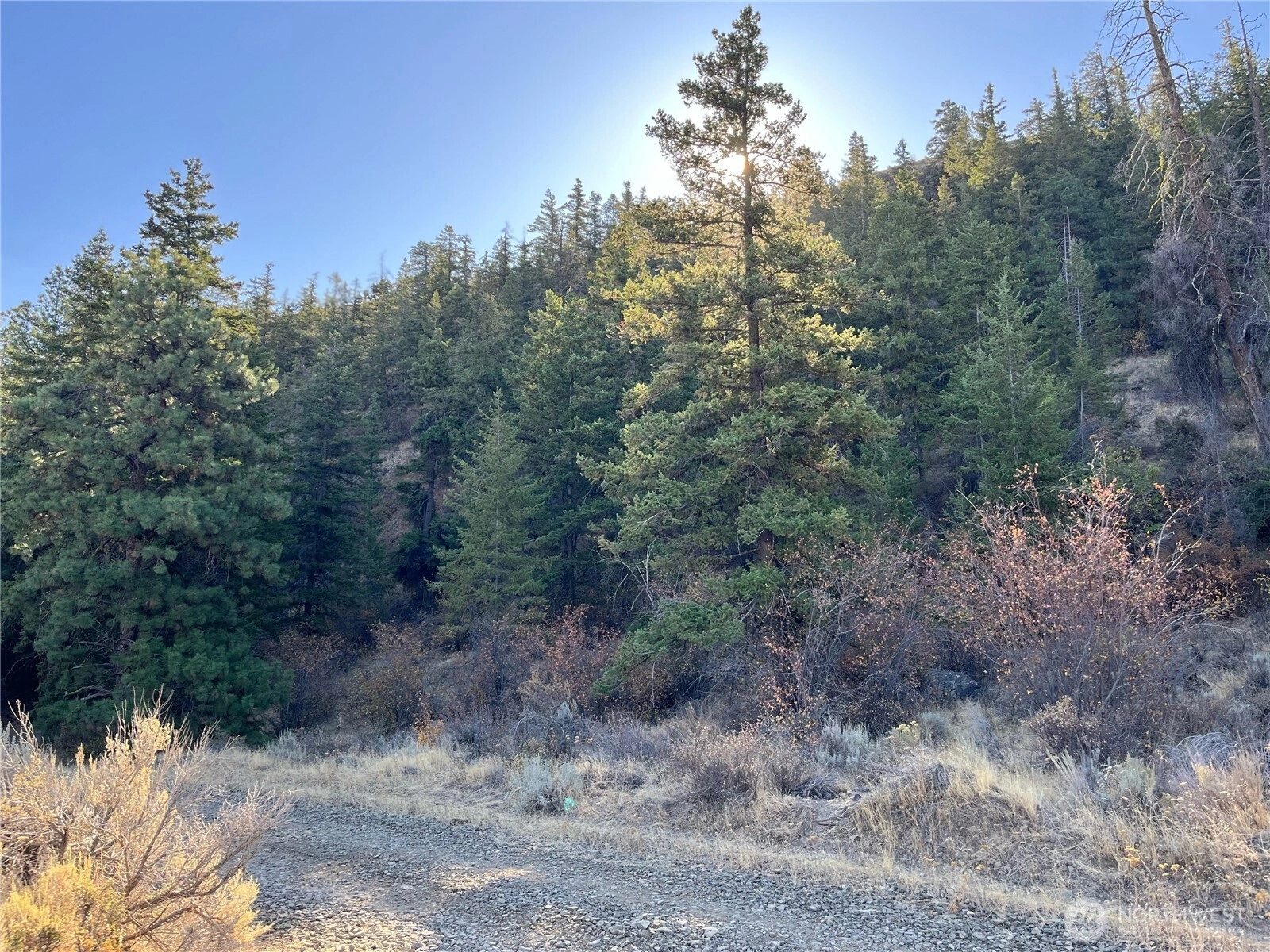 31 Tyee View Loop Orondo WA 98843