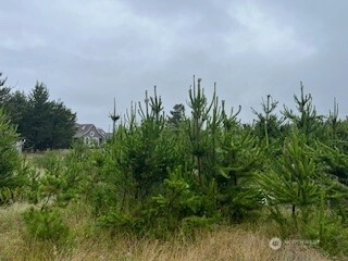 806 318th Pl Unit  Ocean Park WA 98640